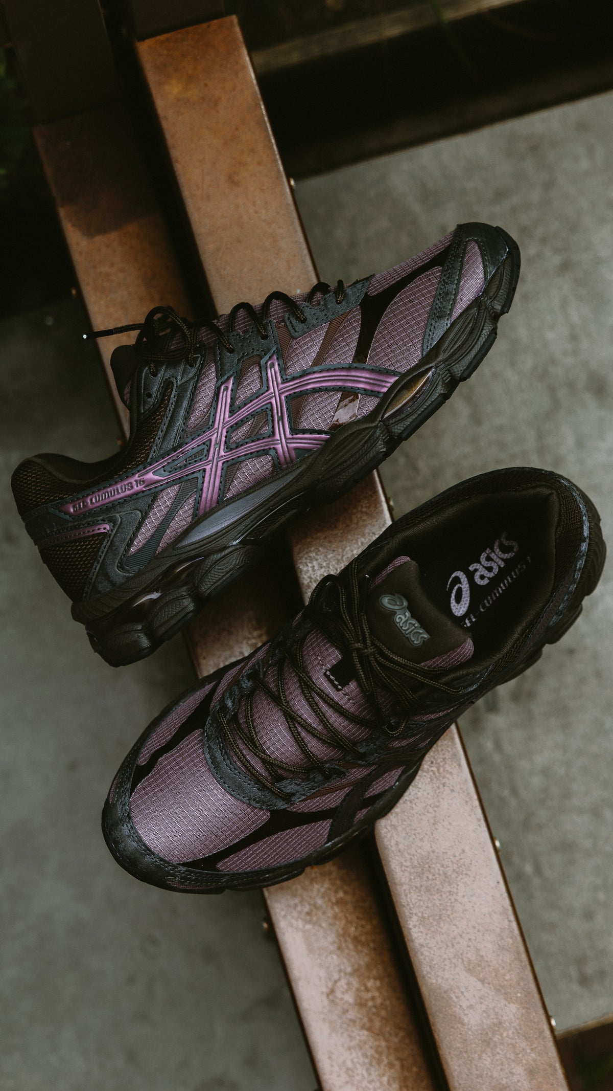 Asics Gel-Cumulus 16 cocoa powder black