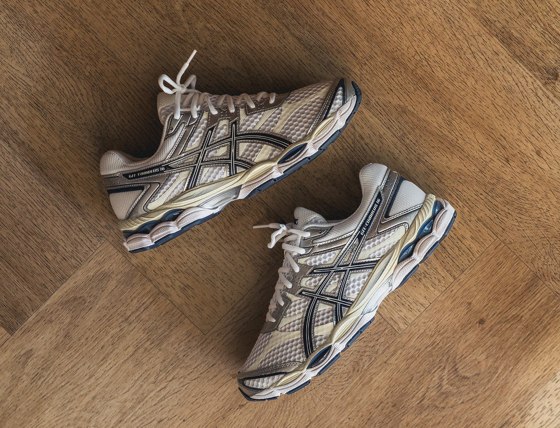 Asics Gel-Cumulus 16 white midnight