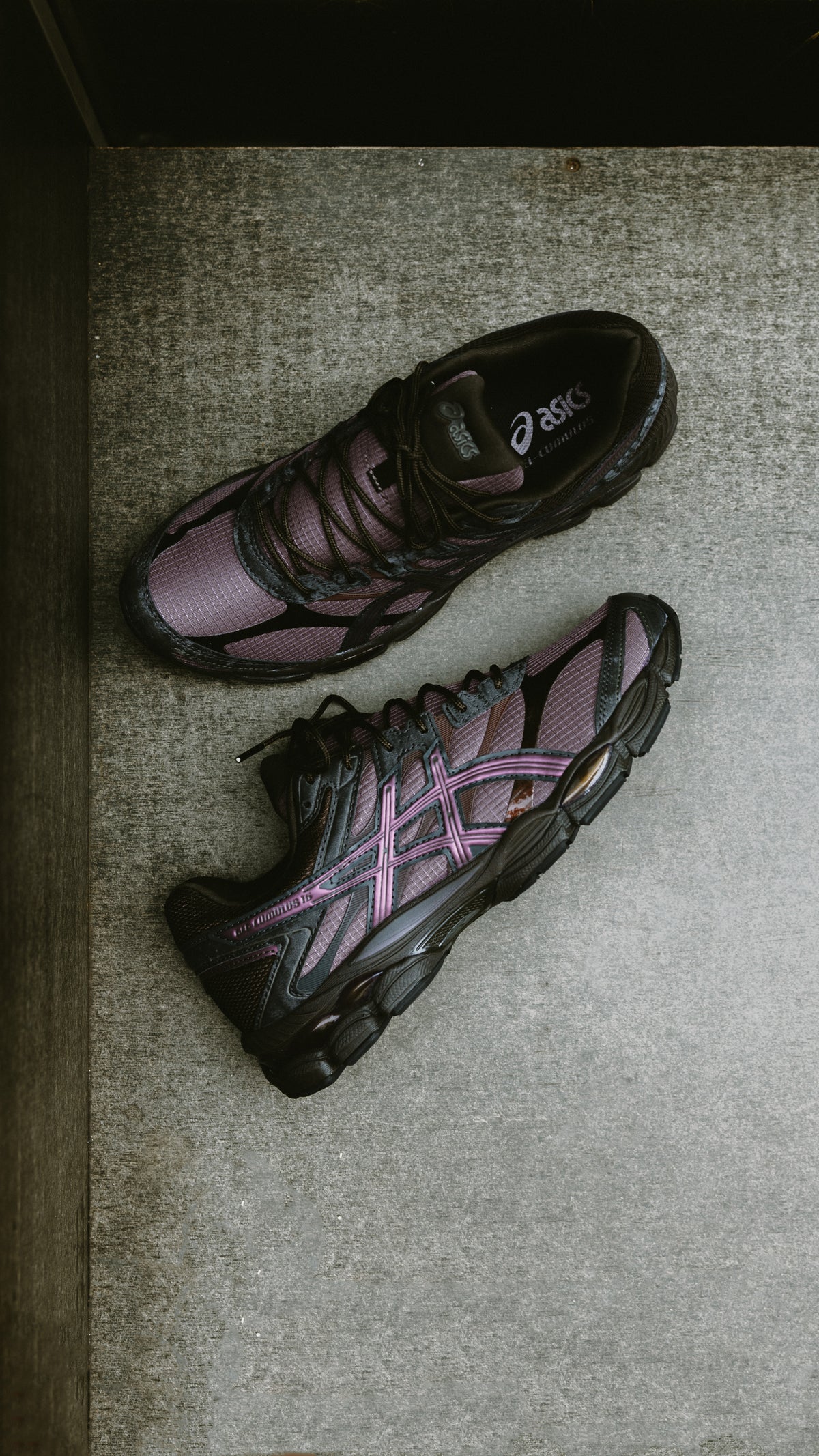 Asics Gel-Cumulus 16 cocoa powder black