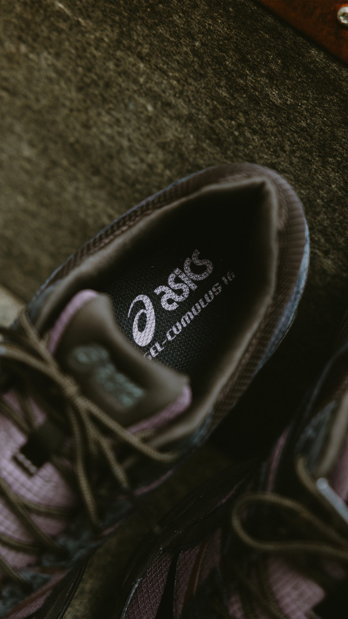 Asics Gel-Cumulus 16 cocoa powder black