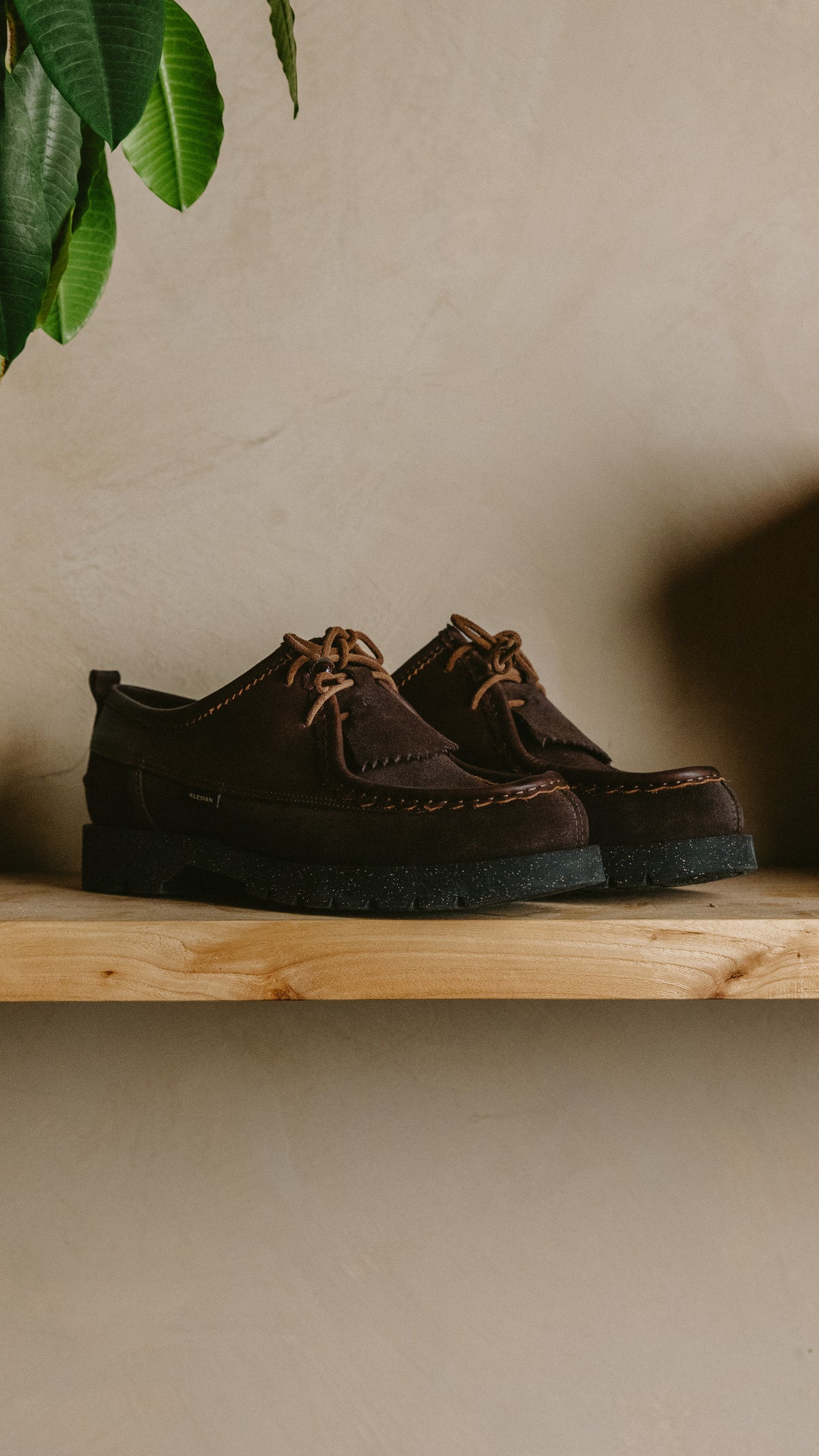 Kleman Padror Oaxa VC Marron